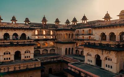 5 Best Social Media Marketing Agencies in Madhya Pradesh